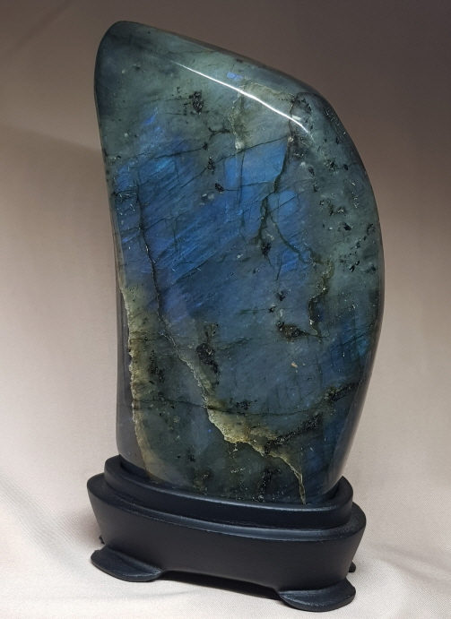 색감 아름다운 라브라도 라이트 소품