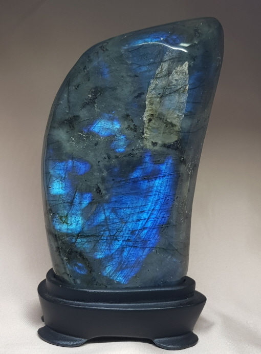 색감 아름다운 라브라도 라이트 소품