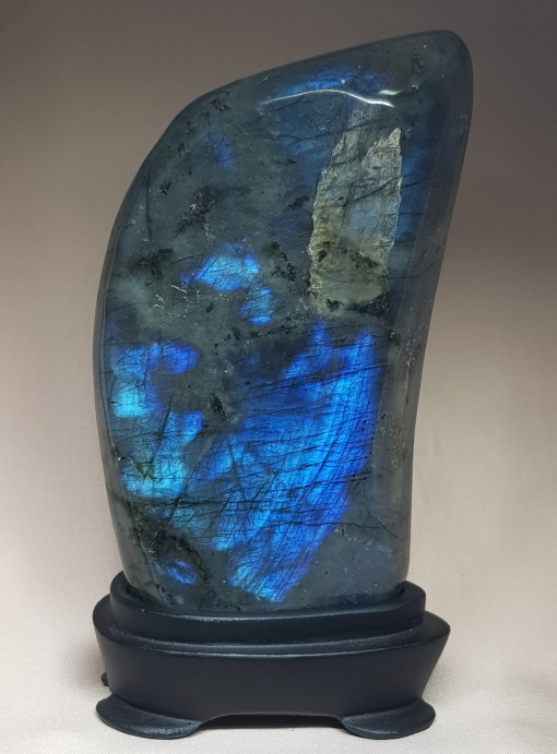 색감 아름다운 라브라도 라이트 소품