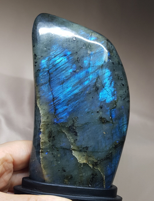 색감 아름다운 라브라도 라이트 소품