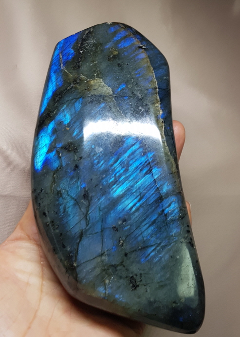 색감 아름다운 라브라도 라이트 소품