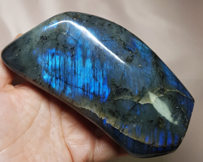 색감 아름다운 라브라도 라이트 소품