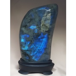 색감 아름다운 라브라도 라이트 소품