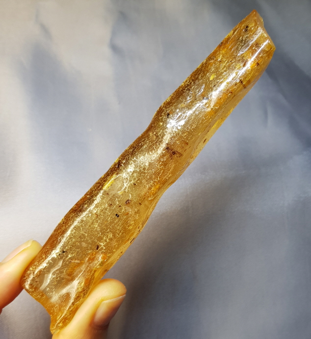 아프리카 호박화석