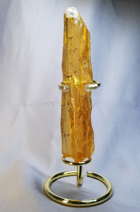 아프리카 호박화석