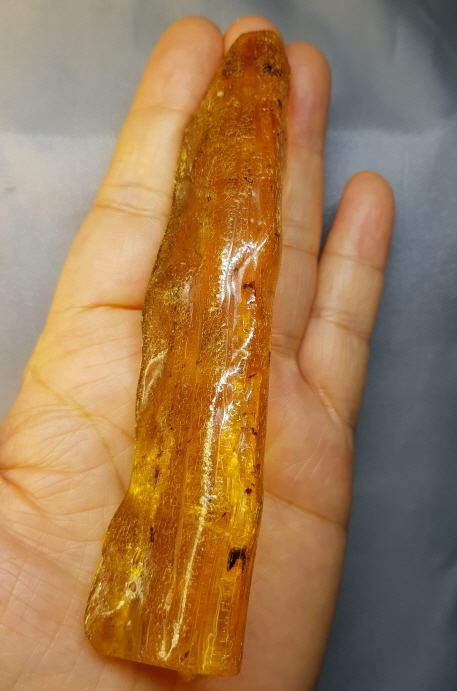 아프리카 호박화석