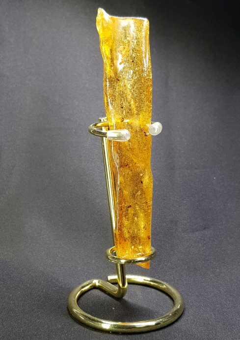 아프리카 호박화석