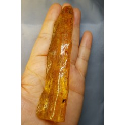 아프리카 호박화석