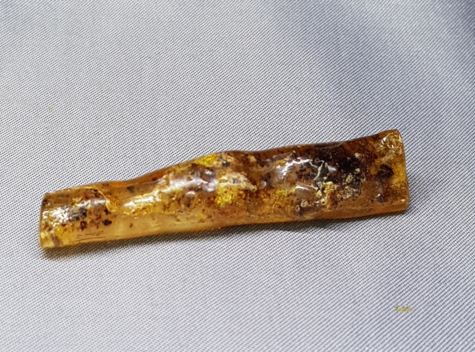 아프리카 호박 화석