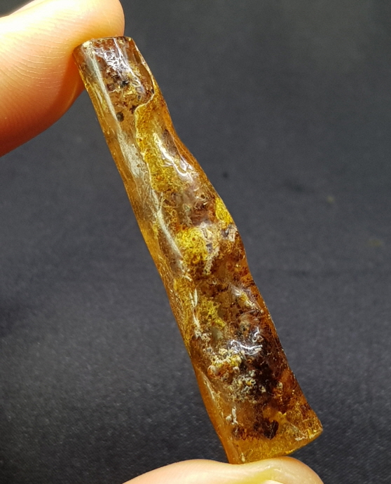 아프리카 호박 화석