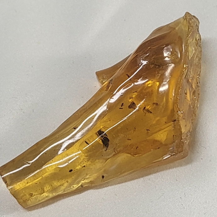 아프리카 호박(COPAL)화석