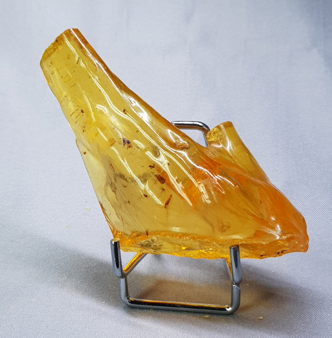 아프리카 호박(COPAL)화석