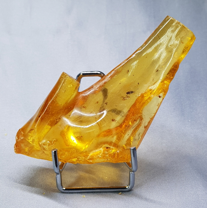 아프리카 호박(COPAL)화석