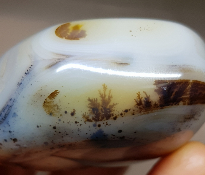 덴드리틱 아게이트(바다 속 풍경)