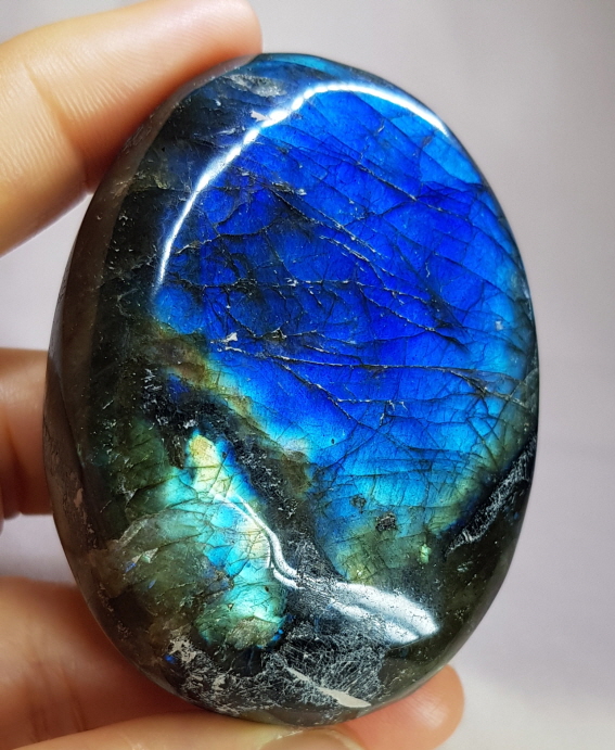 빛 좋은 라브라도 라이트