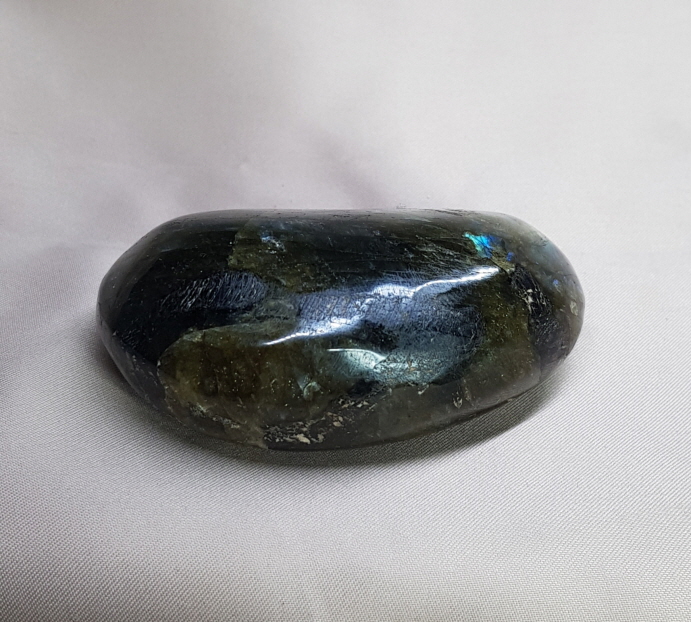 빛 좋은 라브라도 라이트