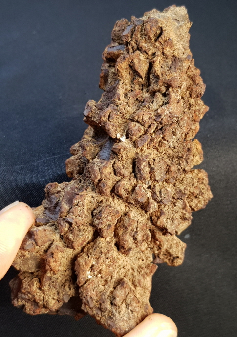 코프롤라이트(똥화석)