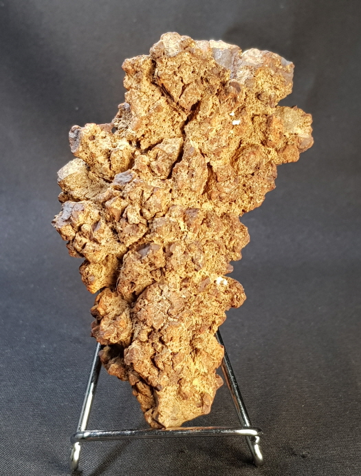 코프롤라이트(똥화석)