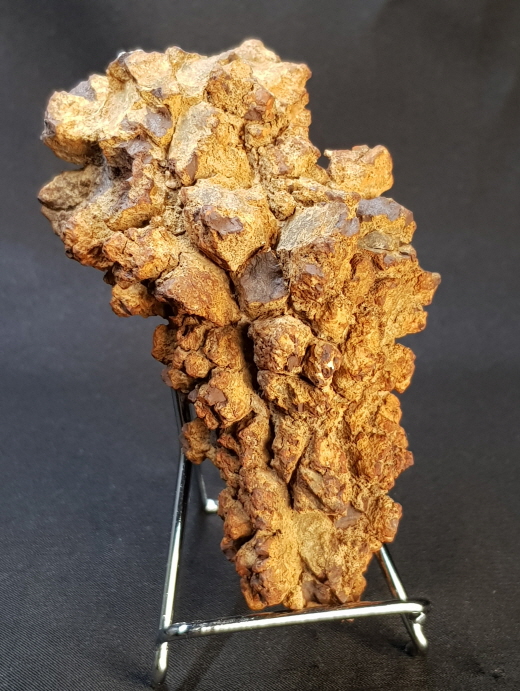 코프롤라이트(똥화석)