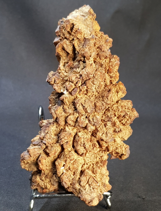 코프롤라이트(똥화석)